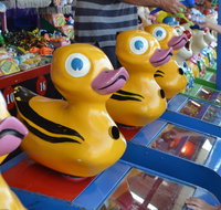 Casino Agricultural Show - Accommodation Bookings