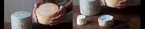 Cheese Making Basics Class - Accommodation Bookings 0