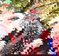 Christmas on the Plains - Quirindi - Accommodation Bookings