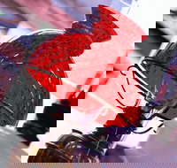 Collectable Sundays - Bus Depot Markets - Accommodation Bookings