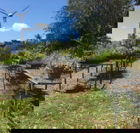 Conservation Volunteers Australia Townsville - Ocean View Nursery - Accommodation Bookings