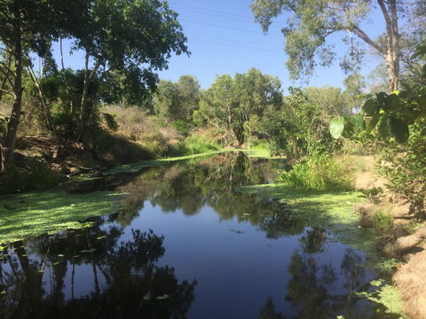 Conservation Volunteers Australia Townsville - Creekwatch - Accommodation Bookings 0