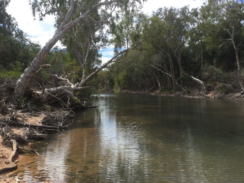 Conservation Volunteers Australia Townsville - Creekwatch - Accommodation Bookings 2