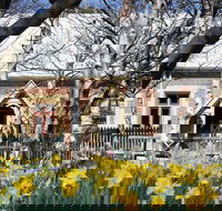Daffodils at Rydal - Accommodation Bookings