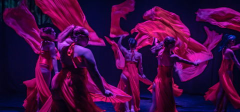 Darwin Fringe Festival - Accommodation Bookings 1