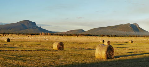 Digital Innovation & Smart Agriculture 2021 Festival - Accommodation Bookings 1