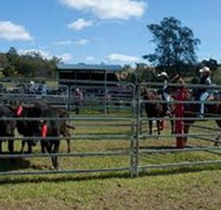 Dungog Team Penning - Accommodation Bookings