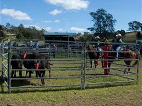 Dungog Team Penning - Accommodation Bookings 0