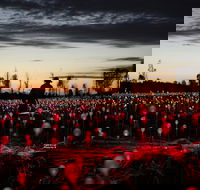 Field of Light Uluru - Accommodation Bookings