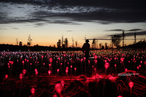 Field Of Light Uluru - Accommodation Bookings 0