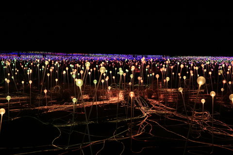 Field Of Light Uluru - Accommodation Bookings 1