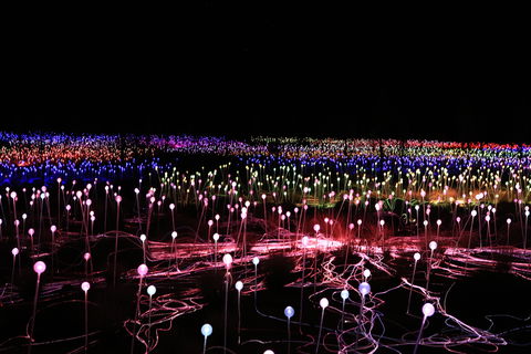 Field Of Light Uluru - Accommodation Bookings 2