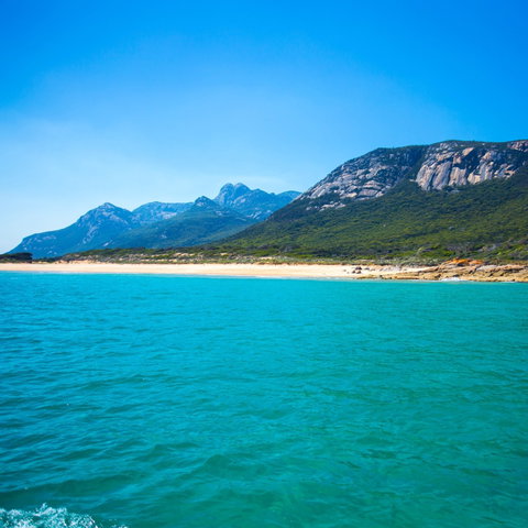 Flinders Island Lions Club Fishing Competition - Accommodation Bookings 1