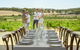 Four Seasons In The Armagh Vineyard - thumb 5