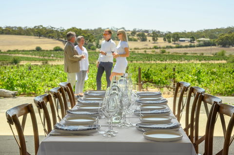 Four Seasons In The Armagh Vineyard - Accommodation Bookings 5