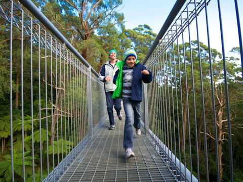 Get Back To Nature These July School Holidays! - Accommodation Bookings 0