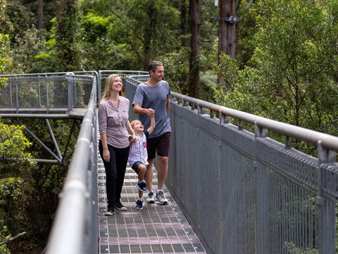 Get Back To Nature These July School Holidays! - Accommodation Bookings 1