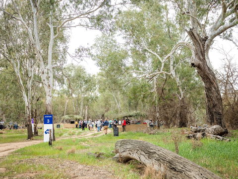 Grazing Down The Lachlan - Accommodation Bookings 2