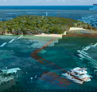 Great Adventures Green Island Ocean Swim - Accommodation Bookings