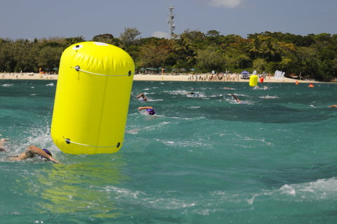 Great Adventures Green Island Ocean Swim - Accommodation Bookings 1