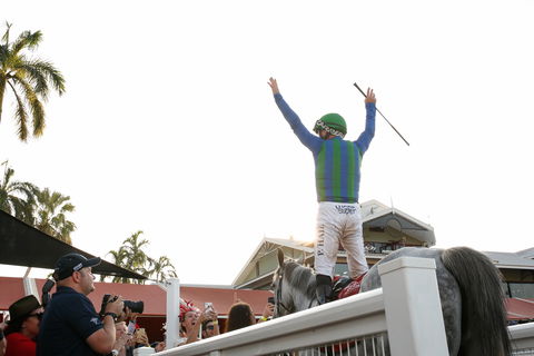 Great Northern Darwin Cup Carnival - Accommodation Bookings 1