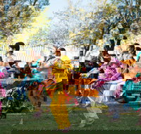 Griffith Spring Fest -  Multicultural Festival - Accommodation Bookings