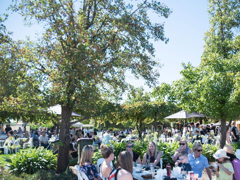 Griffith Vintage Festival - Accommodation Bookings 2