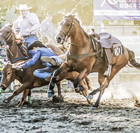 Gundagai Rodeo - Accommodation Bookings