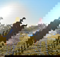 Gunnedah Showjumping Festival - Accommodation Bookings