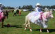 Hay Agricultural Show - thumb 1