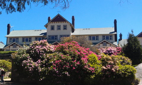 Hedonistic Hiking's Mount Buffalo Hike And Picnic - Accommodation Bookings 1