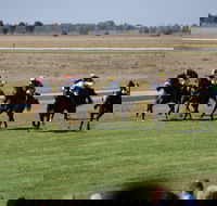 Jerilderie Gold Cup Races - Accommodation Bookings