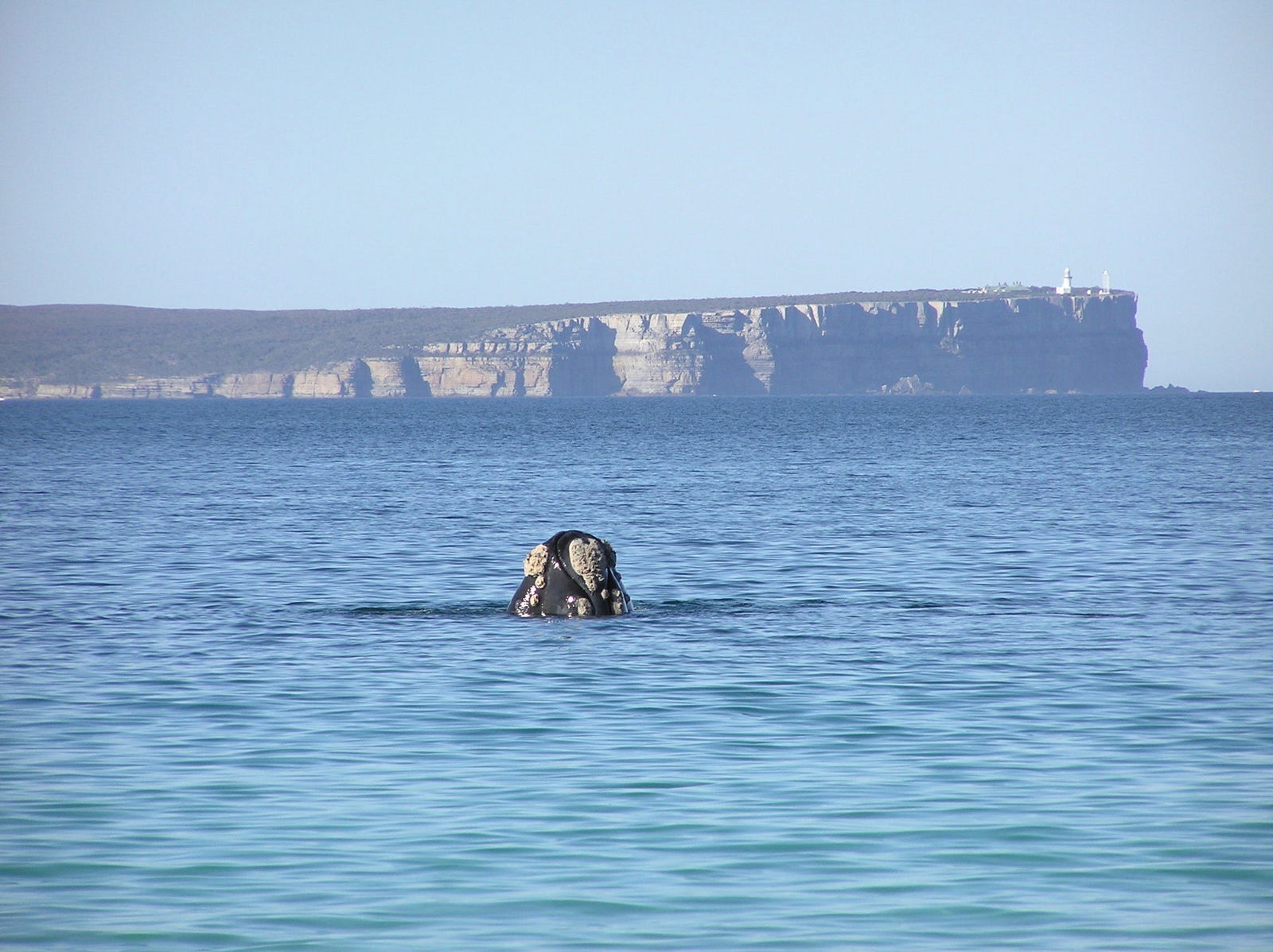 Huskisson NSW Accommodation Bookings