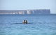 Jervis Bay's Sydney To Hobart Experience - thumb 0