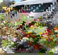 Johns River Country Markets - Accommodation Bookings