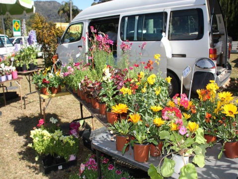 Johns River Country Markets - Accommodation Bookings 0
