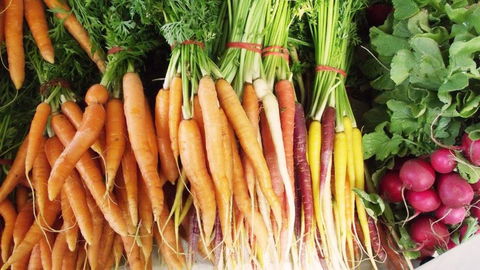 Joondalup Growers Market - Accommodation Bookings 0