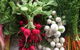 Joondalup Growers Market - thumb 1
