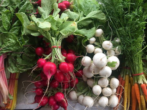 Joondalup Growers Market - Accommodation Bookings 1
