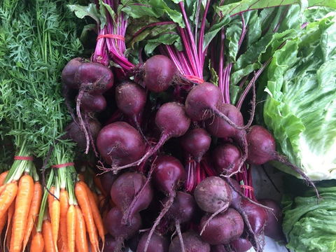 Joondalup Growers Market - Accommodation Bookings 2
