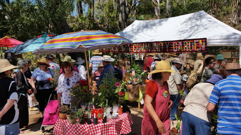Karragarra Sea Market Festival - Accommodation Bookings 0