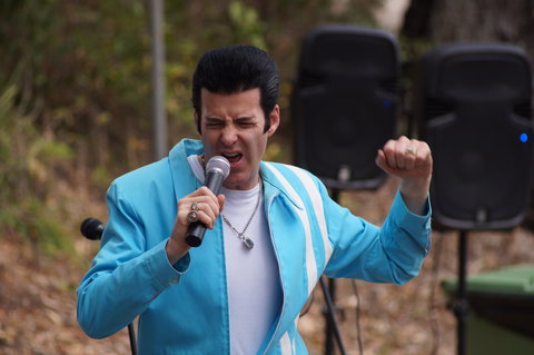 Karragarra Sea Market Festival - Accommodation Bookings 2