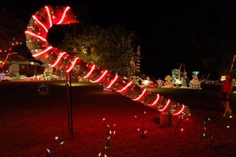 Loxton Christmas Lights Festival - Accommodation Bookings 2