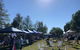 Made 'n Grown Produce And Artisan Market - thumb 2