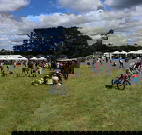 Majors Creek Festival - Accommodation Bookings