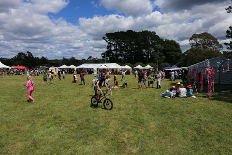 Majors Creek Festival - Accommodation Bookings 0