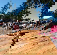 Maleny Wood Expo From Seed to Fine Furniture - Accommodation Bookings