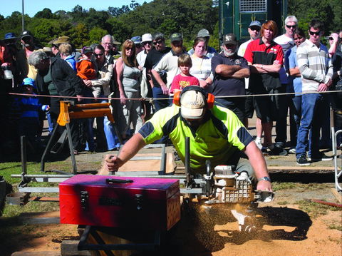 Maleny Wood Expo: From Seed To Fine Furniture - Accommodation Bookings 2