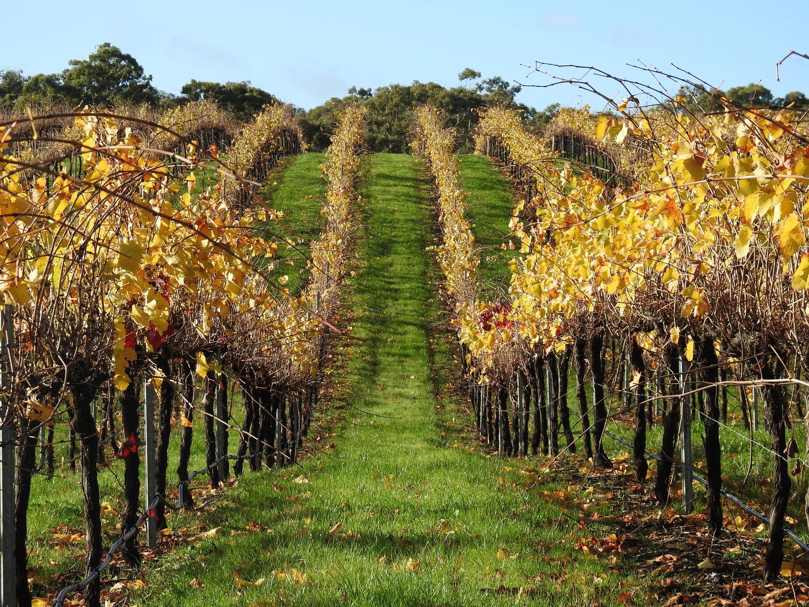 Armstrong VIC Accommodation Bookings