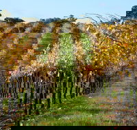 Miners Ridge Wine Tasting - Accommodation Bookings